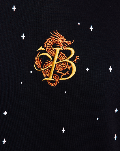 ZERO GRAVITY INTIMIDATION - REGULAR FIT EMBROIDERED HOODIE