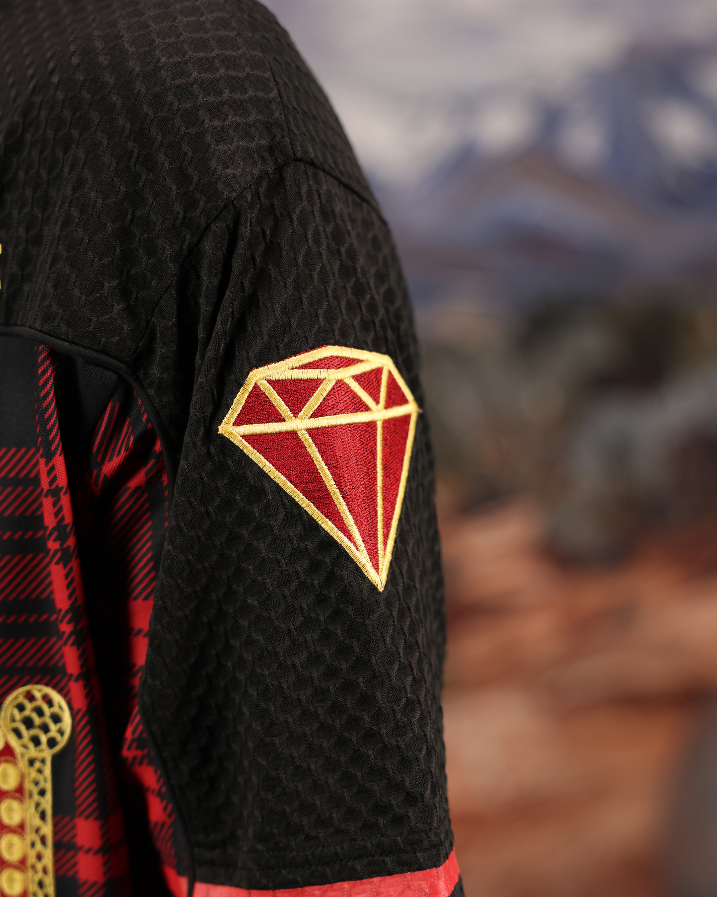 CHAKRA AND CHANCE PLAID- OVERSIZED FIT EMBROIDERED JERSEY